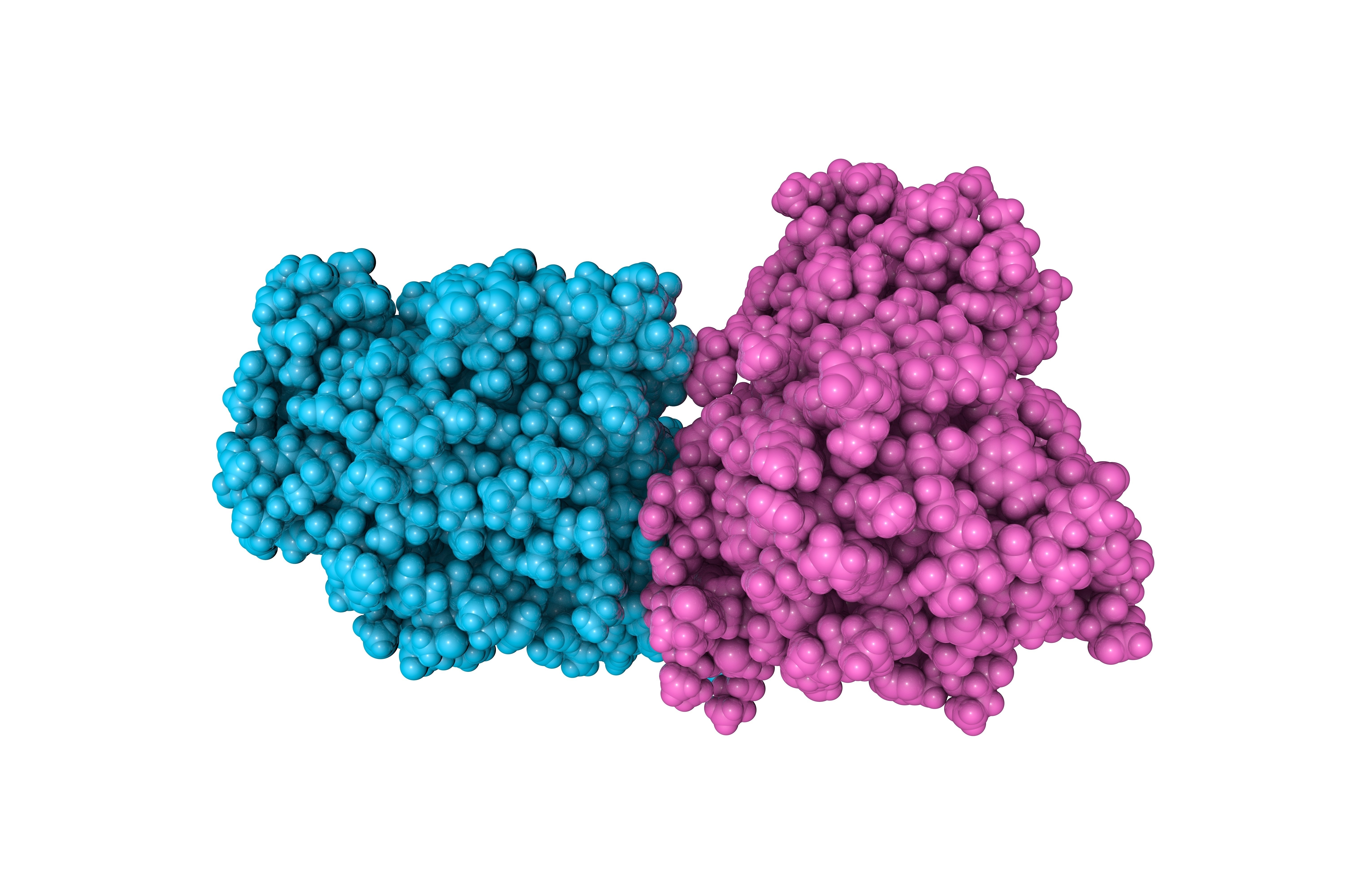 MDM2 Inhibitors