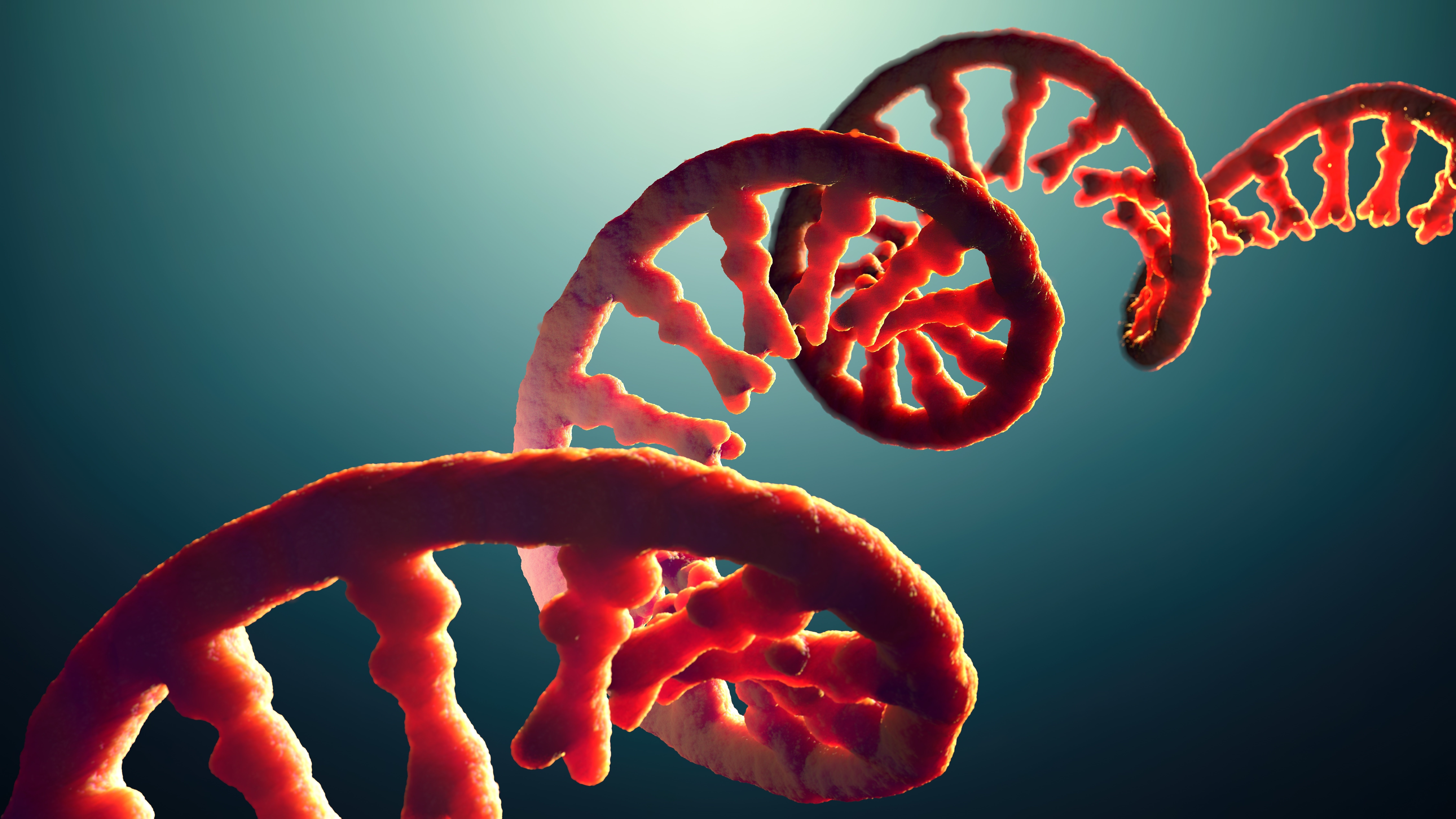 RNA Seq Analysis